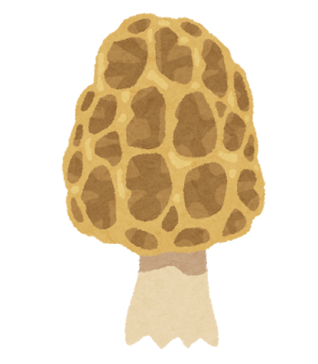 【警告】和歌山でAIが「食べられる」と判定したキノコで中毒、AI信頼の限界